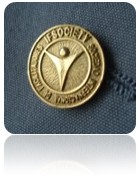 Pin de Oro (FacilitadorProfesional Certificado)